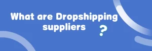 What are Dropshipping suppiliers