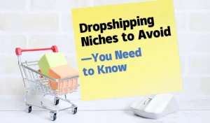 Dropshipping Niches to Avoid