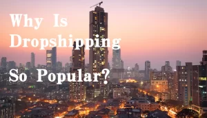 dropshipping popular