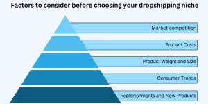 factors to consider before choosing your dropshipping niche