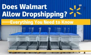 dose walmart allow dropshipping？