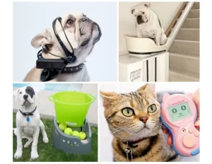 pet gadget