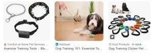 Pet Training Tools