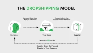 dropshipping model